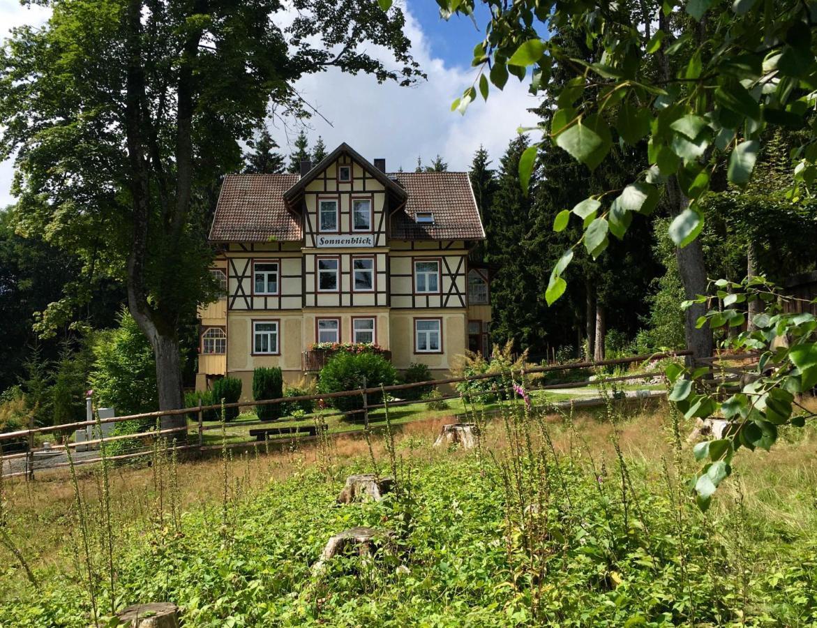 Haus Sonnenblick Apartman Benneckenstein Kültér fotó