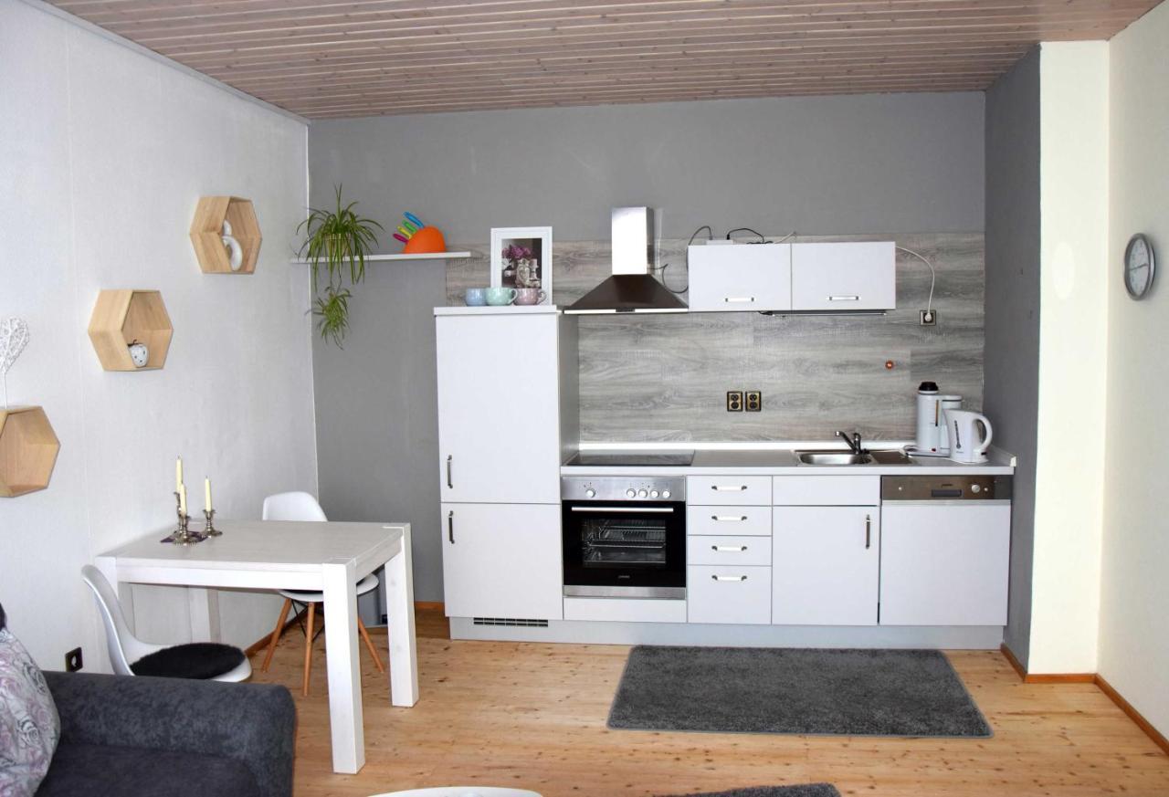 Haus Sonnenblick Apartman Benneckenstein Kültér fotó