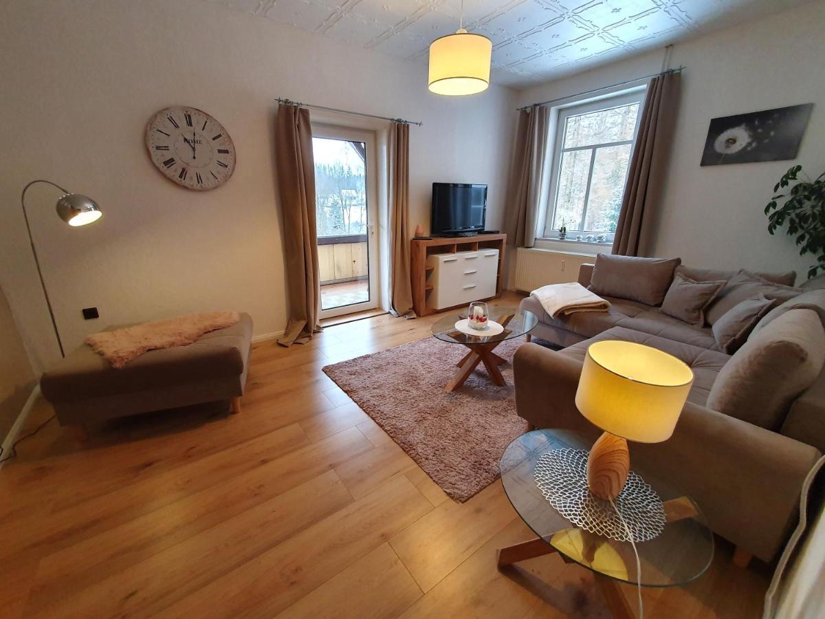 Haus Sonnenblick Apartman Benneckenstein Kültér fotó