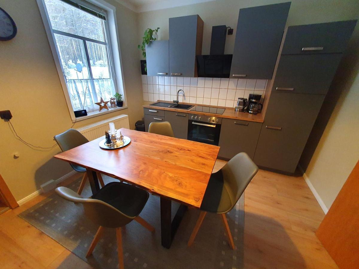 Haus Sonnenblick Apartman Benneckenstein Kültér fotó